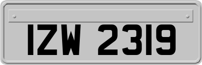 IZW2319