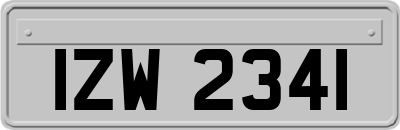 IZW2341