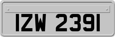 IZW2391