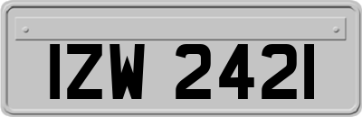 IZW2421