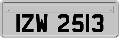 IZW2513