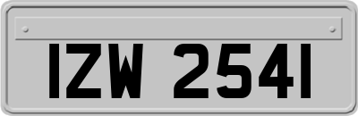 IZW2541