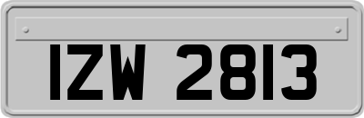 IZW2813