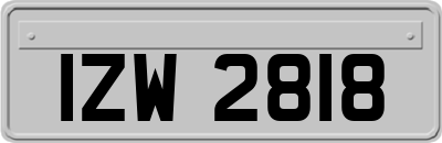 IZW2818