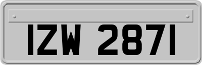 IZW2871
