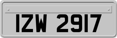 IZW2917