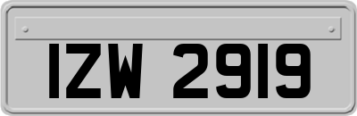 IZW2919