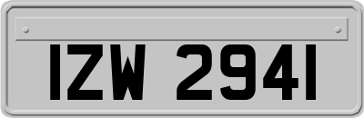 IZW2941