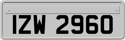 IZW2960