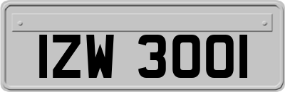 IZW3001