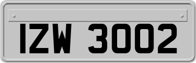IZW3002