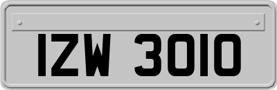 IZW3010