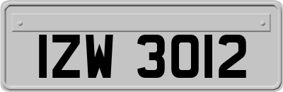 IZW3012