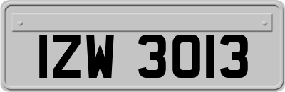 IZW3013