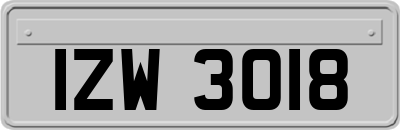 IZW3018