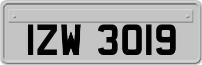 IZW3019
