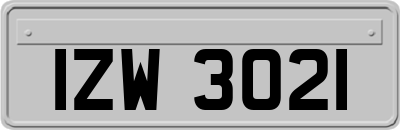 IZW3021