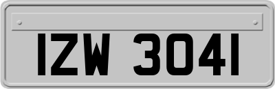 IZW3041