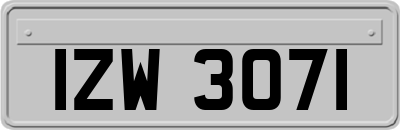 IZW3071