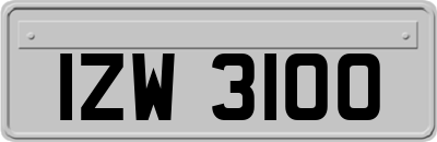 IZW3100