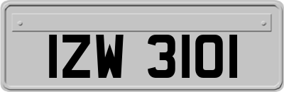 IZW3101