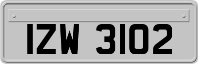 IZW3102