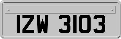 IZW3103