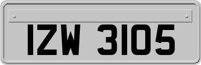 IZW3105