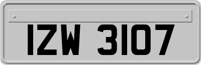 IZW3107