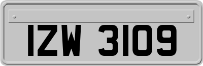 IZW3109