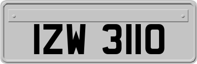 IZW3110
