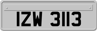 IZW3113