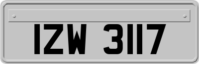 IZW3117