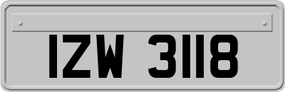IZW3118