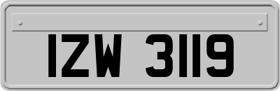 IZW3119