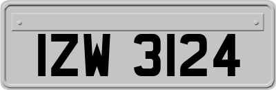IZW3124