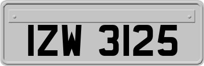 IZW3125