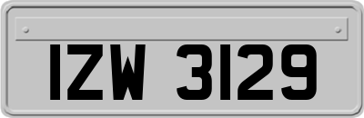 IZW3129