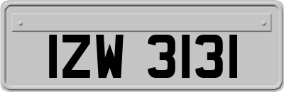 IZW3131