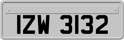 IZW3132