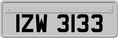 IZW3133