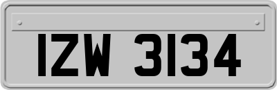 IZW3134