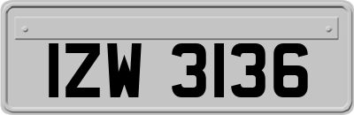 IZW3136