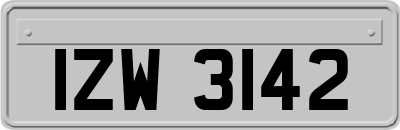 IZW3142