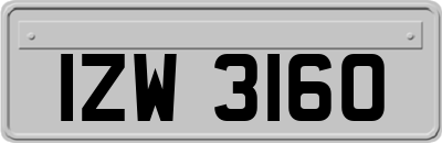 IZW3160