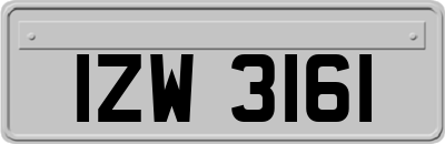 IZW3161