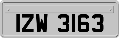 IZW3163
