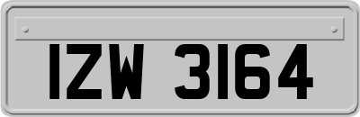 IZW3164