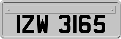 IZW3165