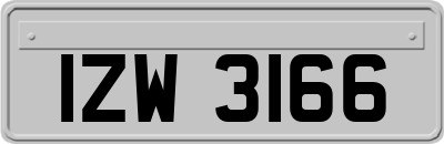 IZW3166